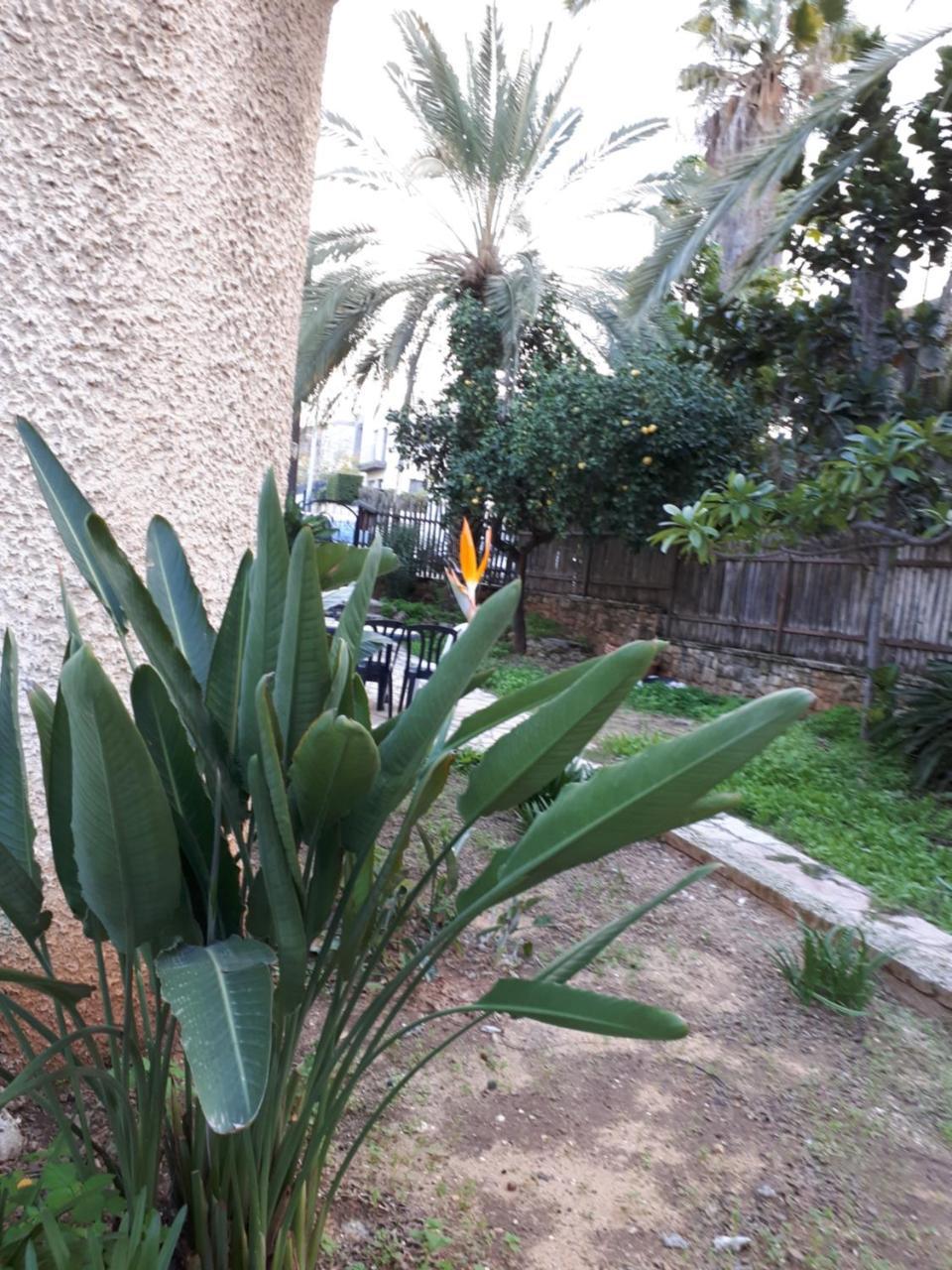 ホテル Etty'S House Petach Tikva エクステリア 写真